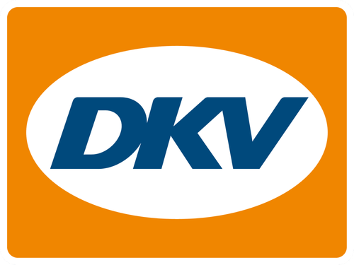 Interim After Sales Experte bei DKV Mobility